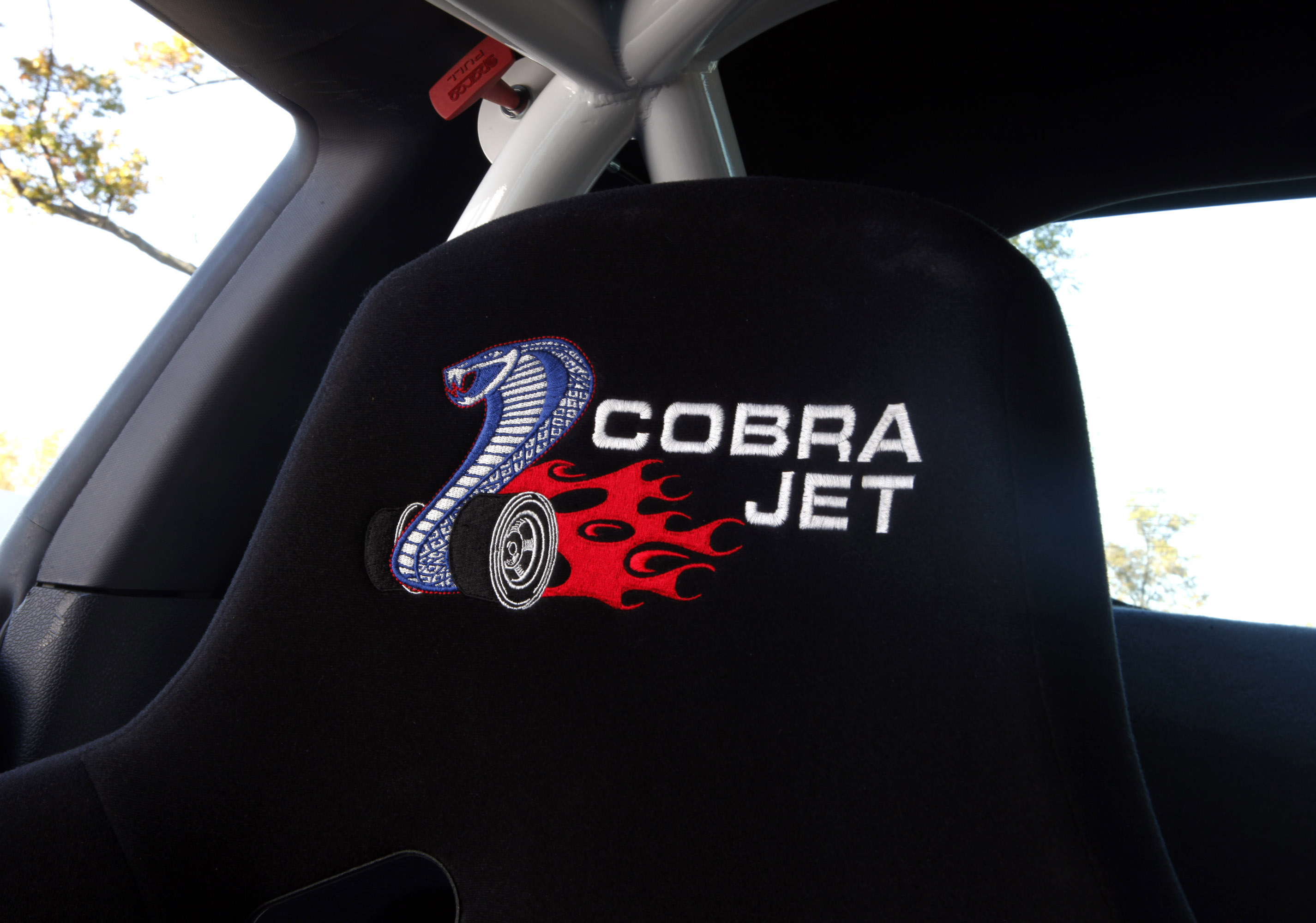 Ford Mustang Cobra Jet Twin-Turbo Concept photo #25