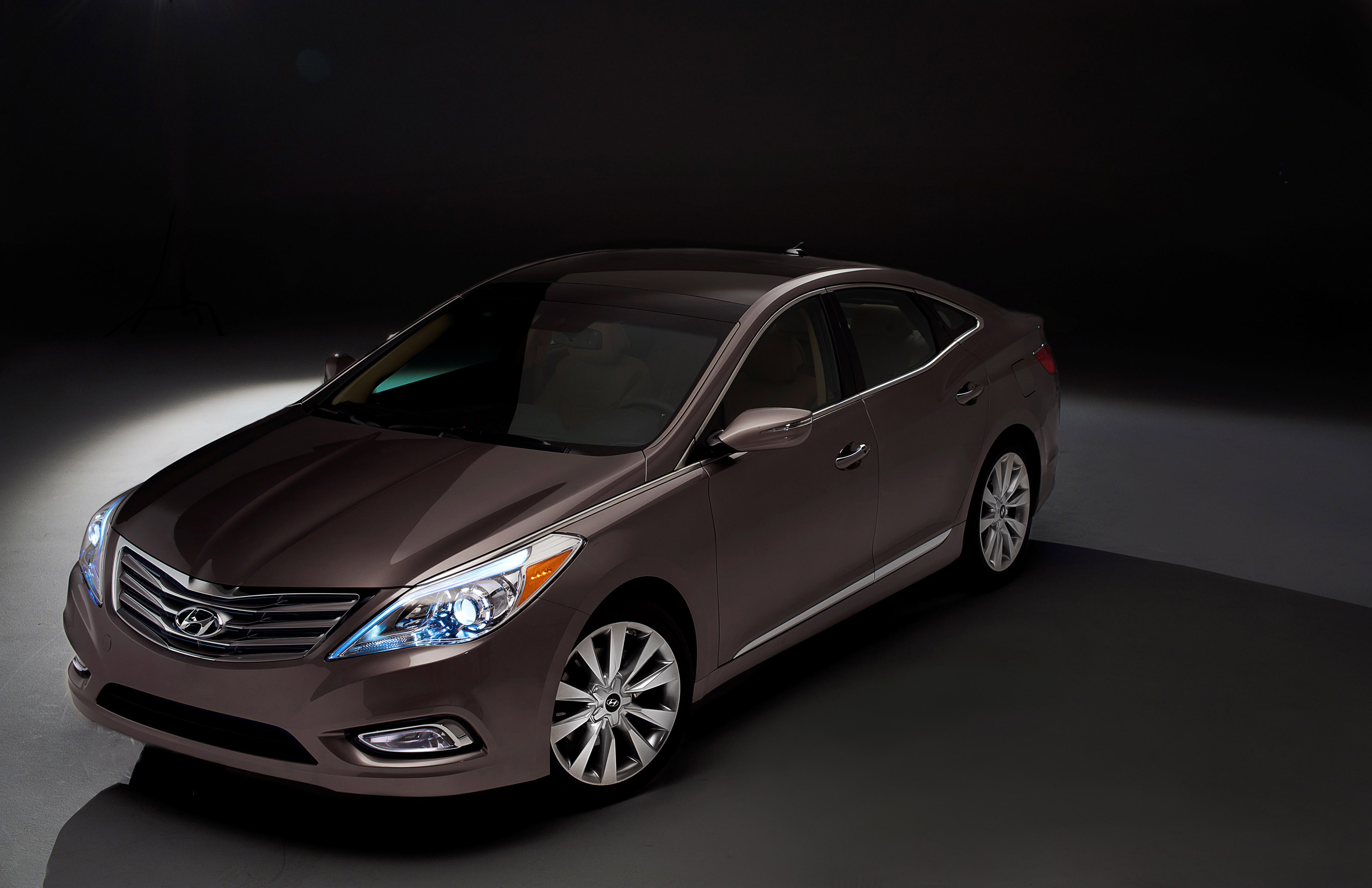 Hyundai Azera photo #7