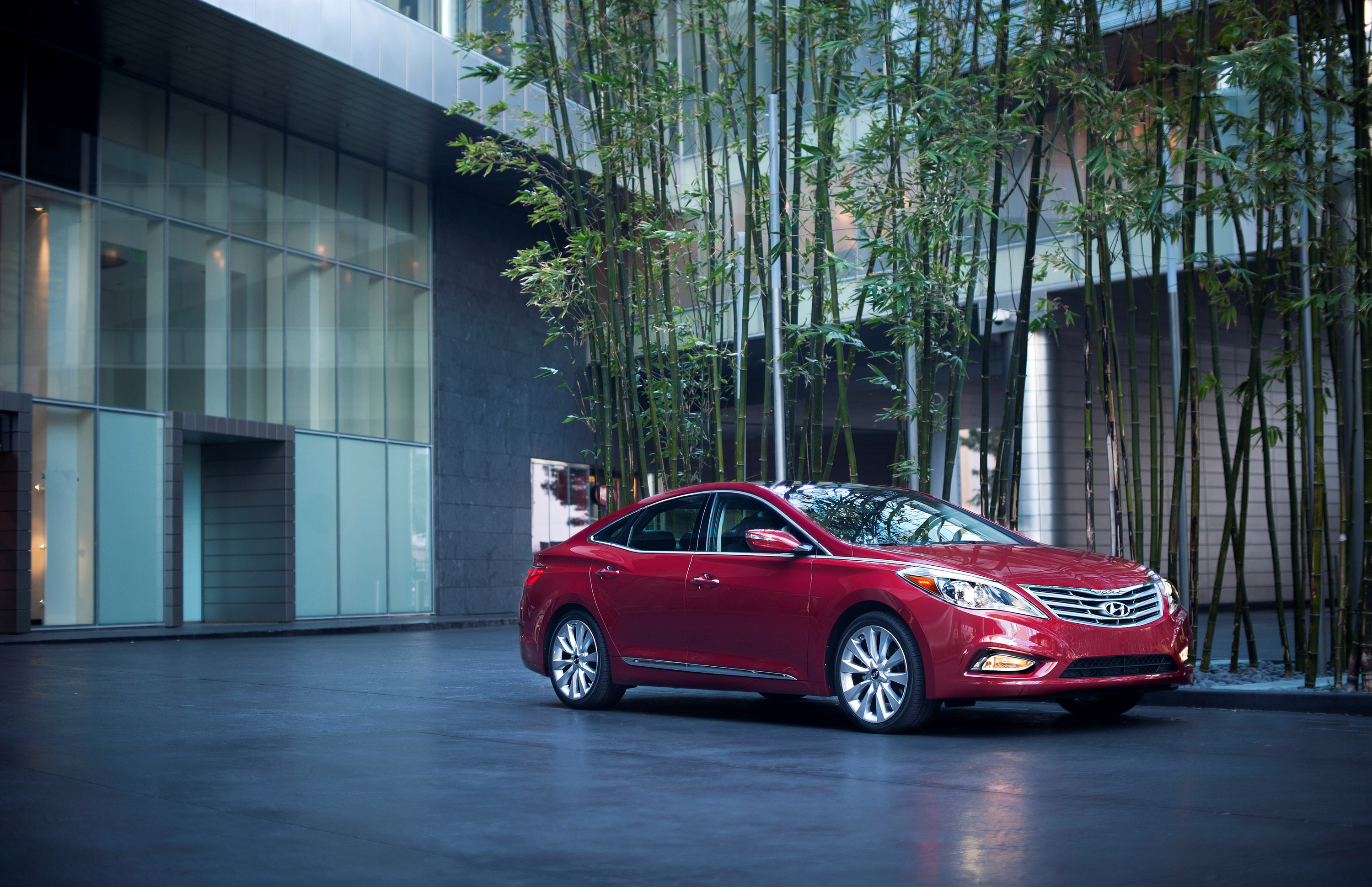 Hyundai Azera photo #11