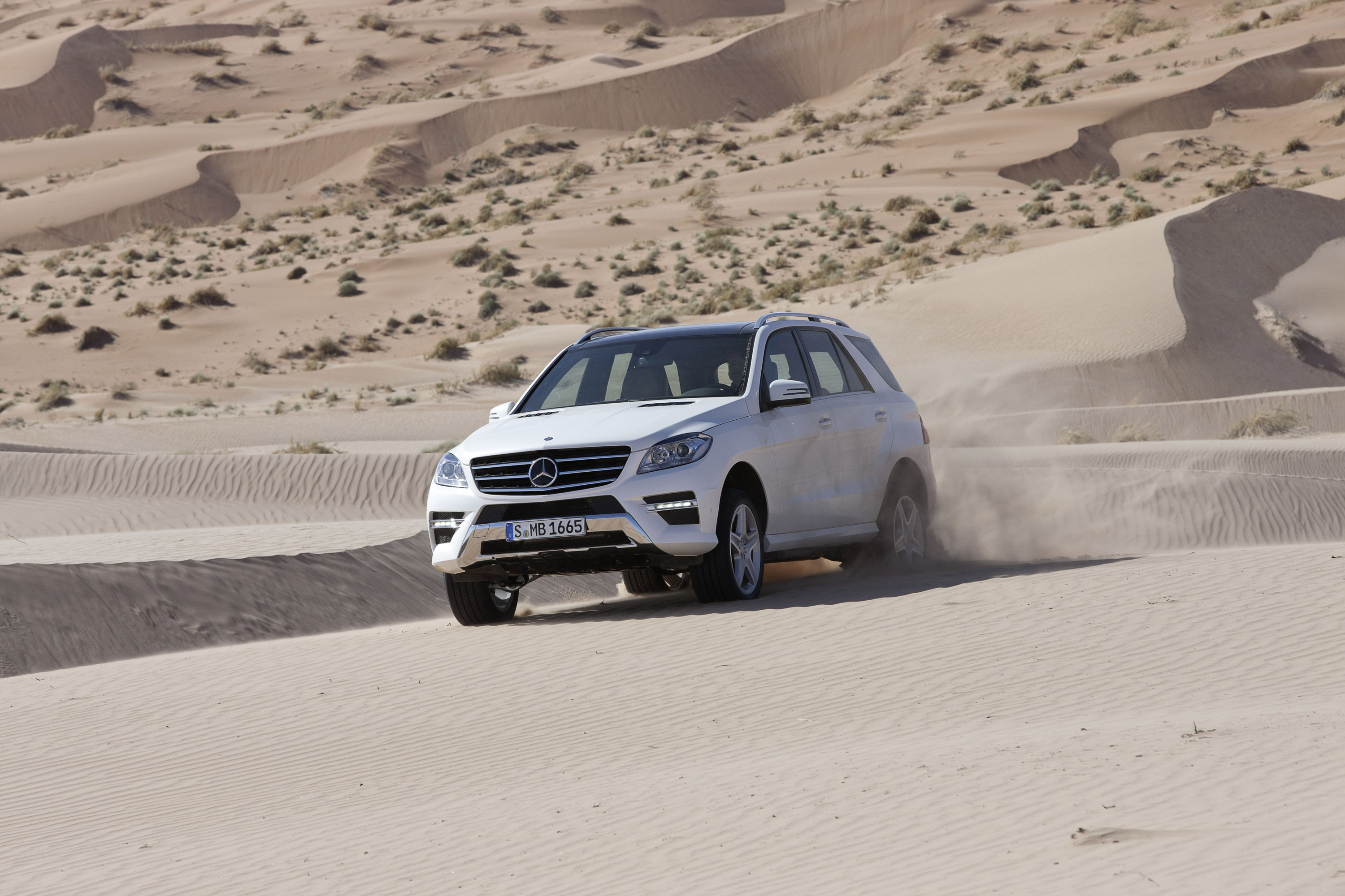 Mercedes-Benz M-Class photo #19