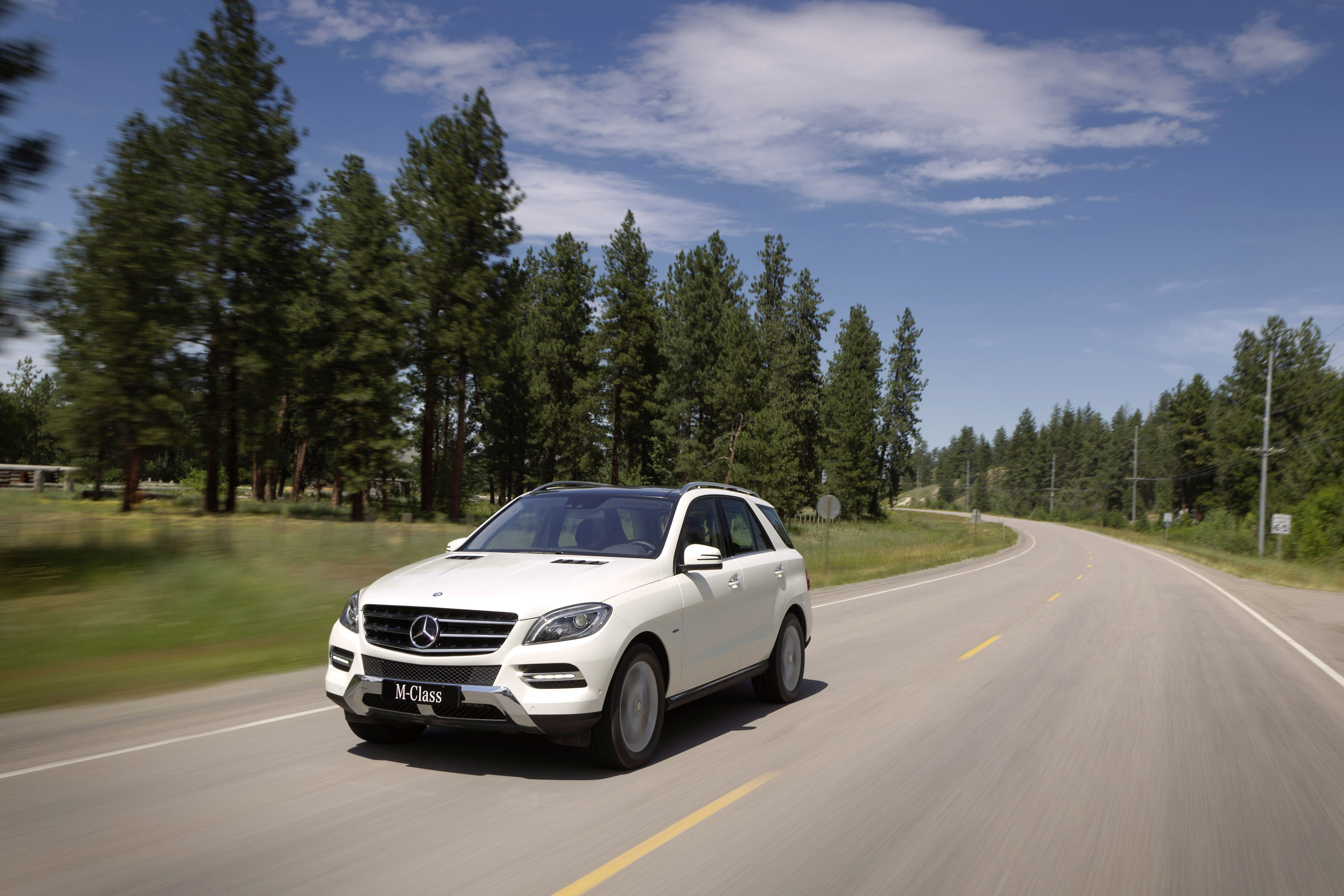 Mercedes-Benz M-Class photo #31