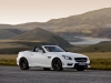 2012 Mercedes-Benz SLK55 AMG thumbnail photo 35075