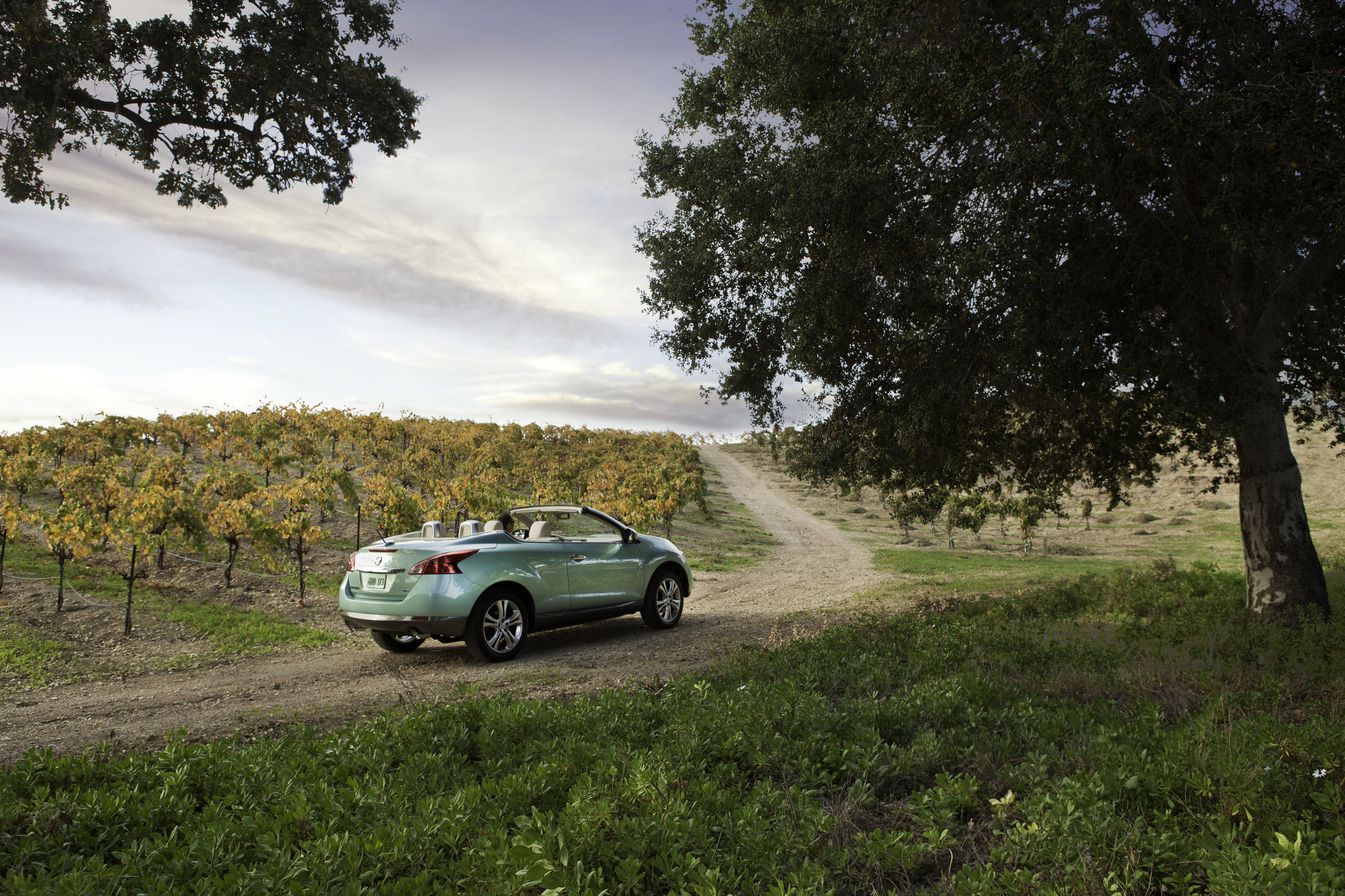 Nissan Murano CrossCabriolet photo #14