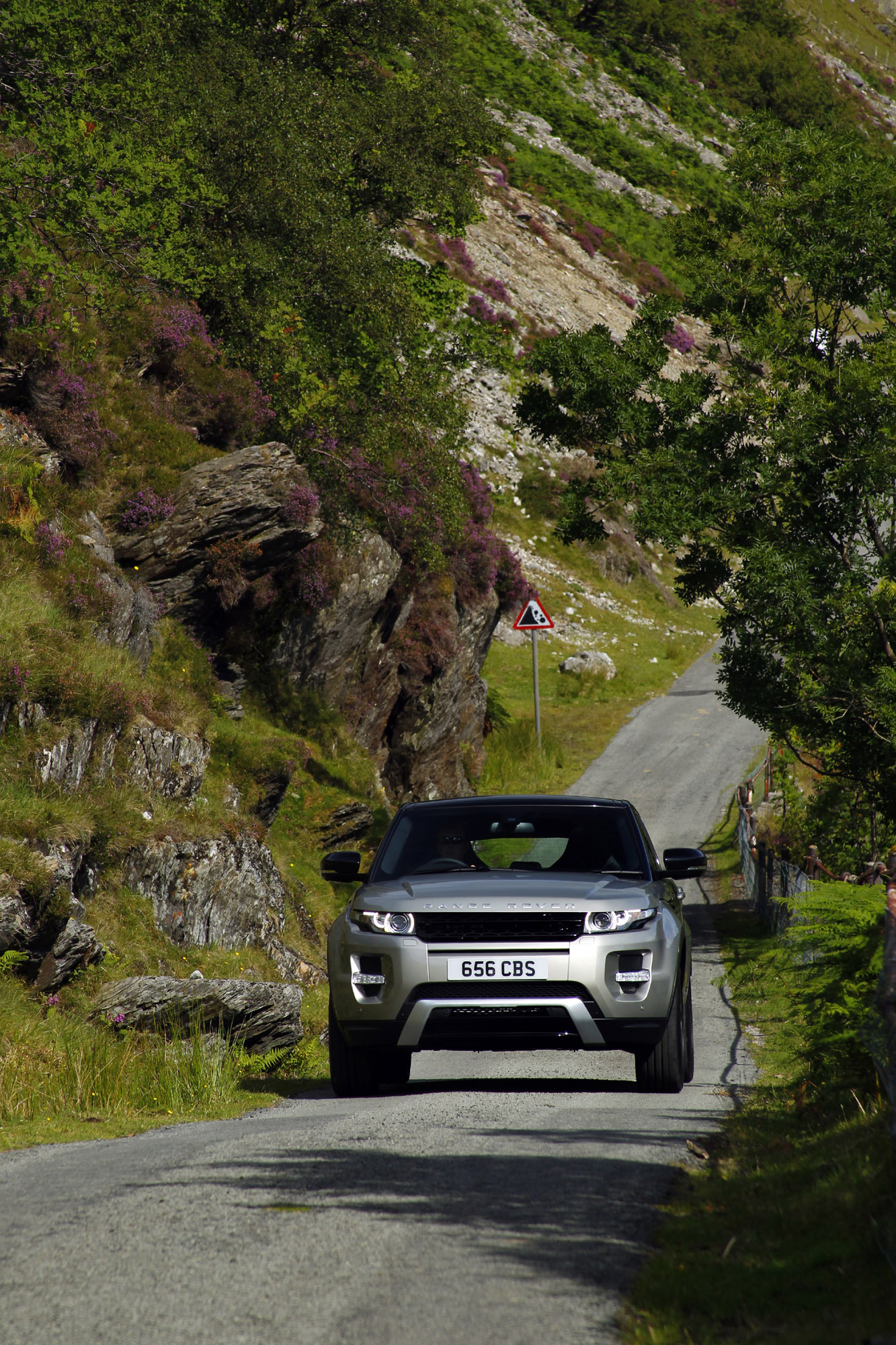 Range Rover Evoque 5-door photo #30