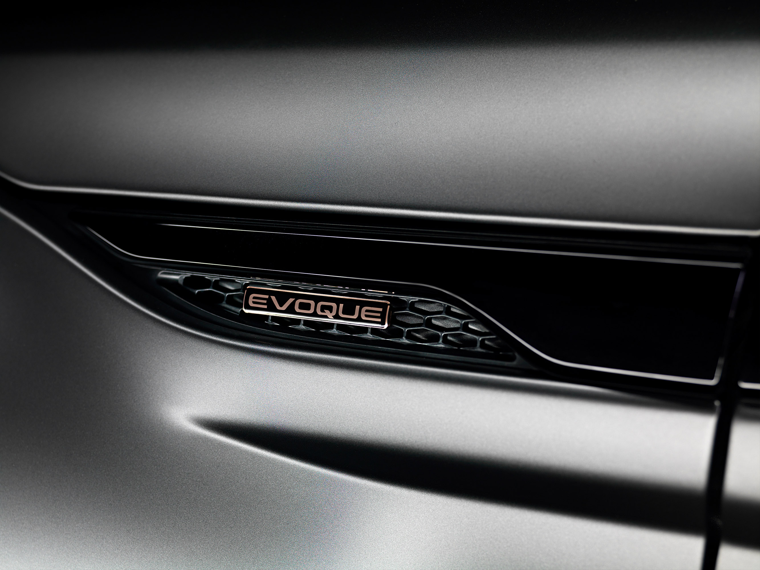 Range Rover Evoque Victoria Beckham Edition photo #17