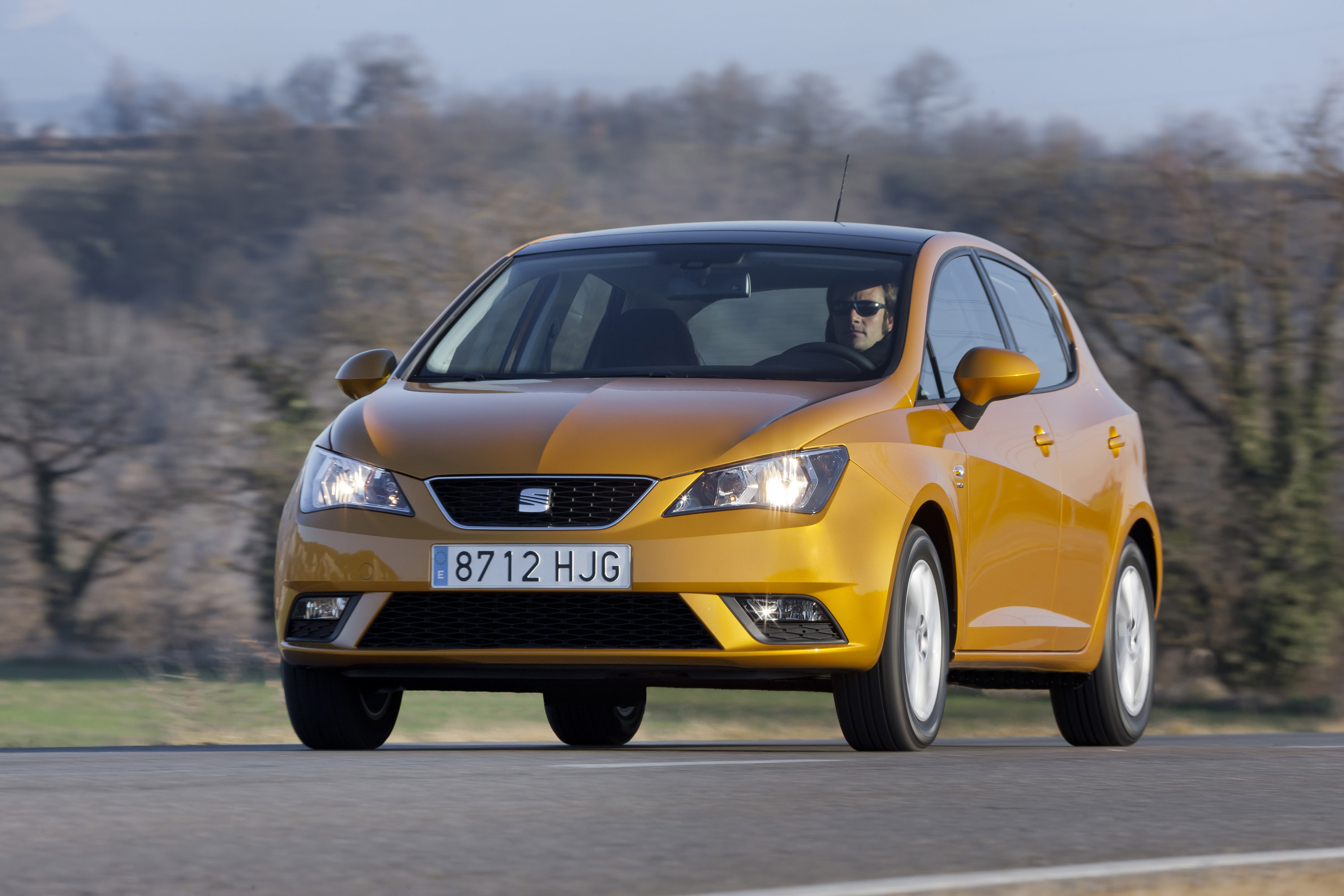 SEAT Ibiza photo #25