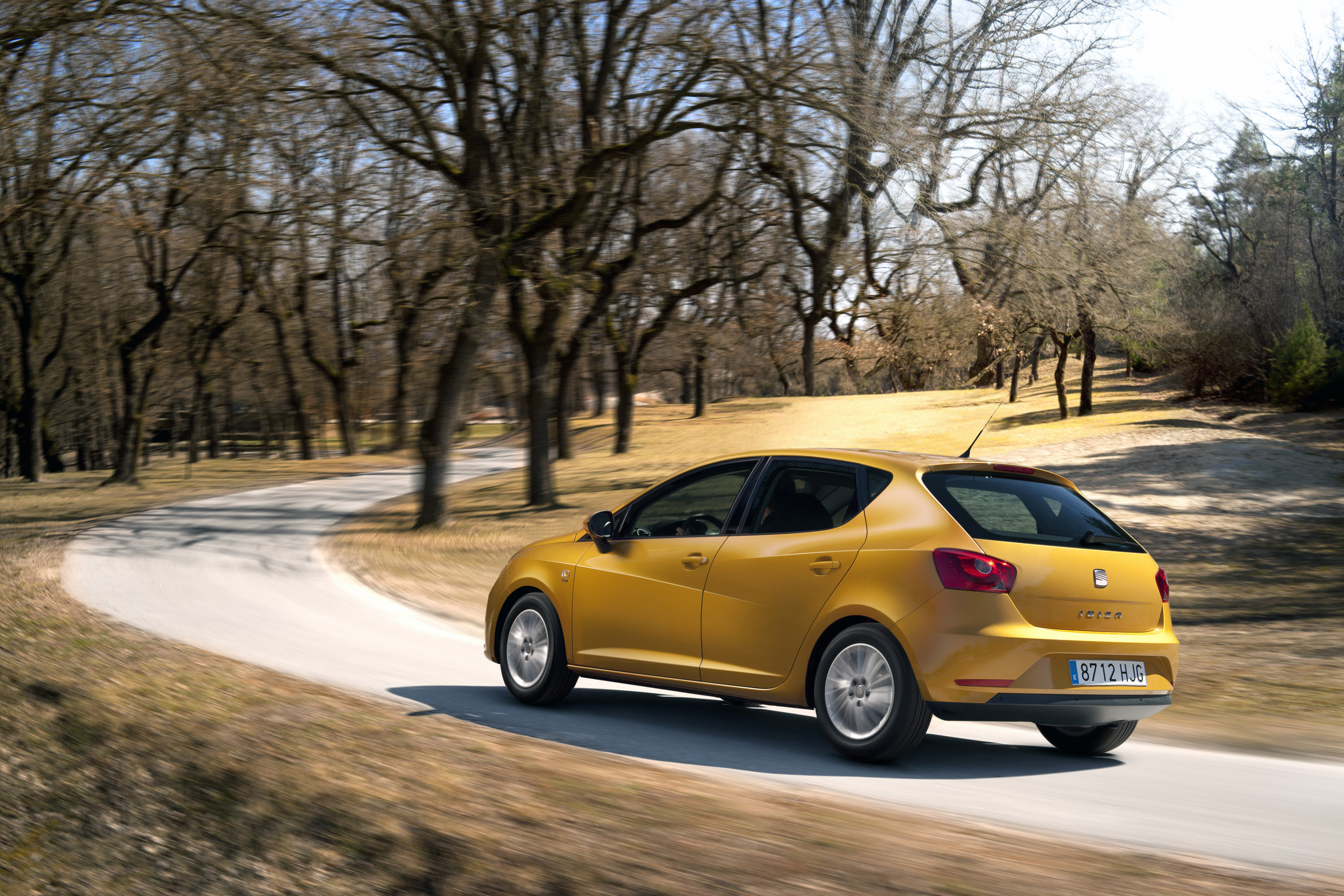 SEAT Ibiza photo #27