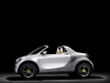 2012 Smart For-Us Study thumbnail photo 19068