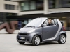 2012 Smart ForTwo Pearlgrey thumbnail photo 19033