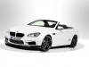 2013 AC Schnitzer BMW M6 Gran Coupe thumbnail photo 35449