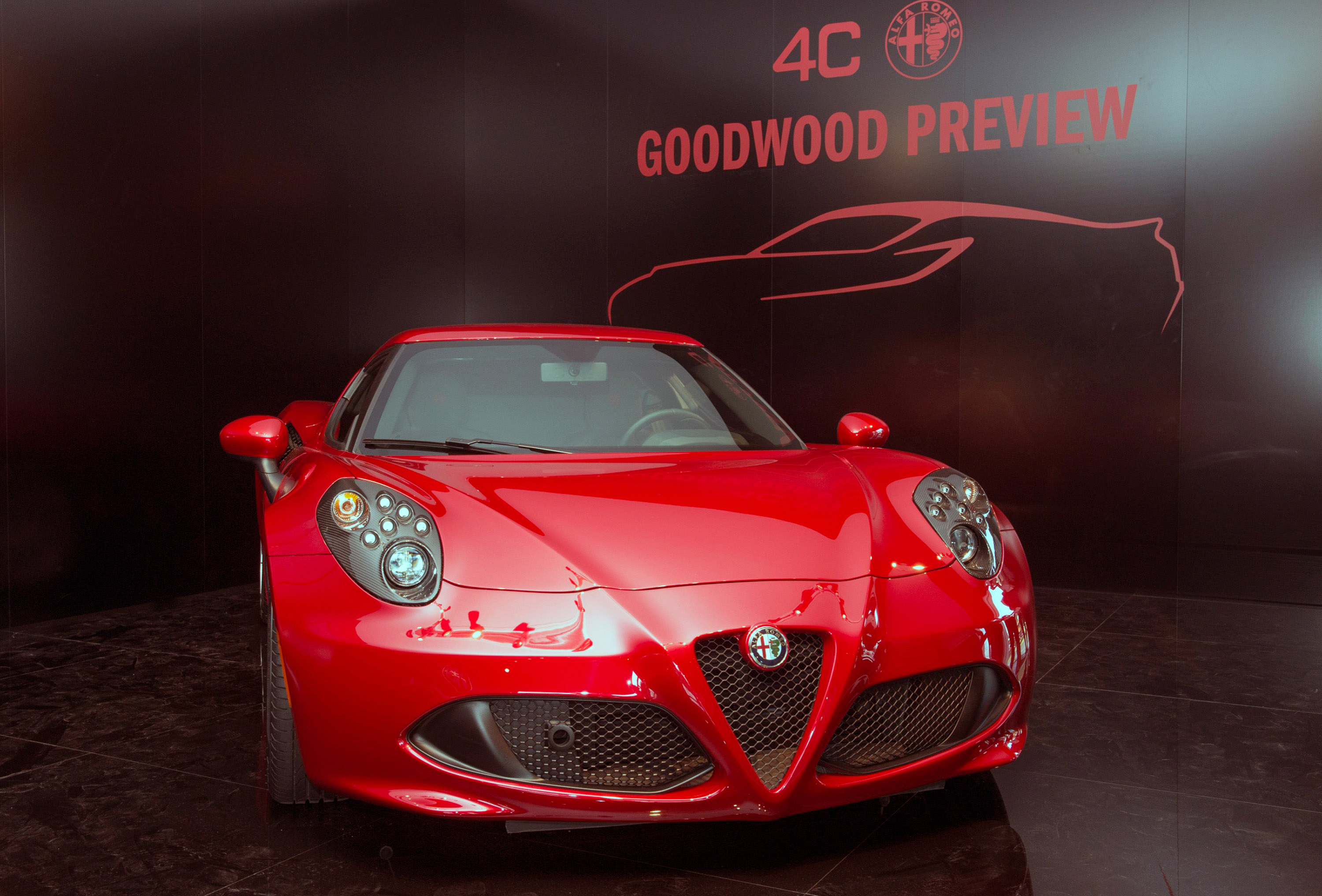 Alfa Romeo 4C Goodwood Festival photo #6