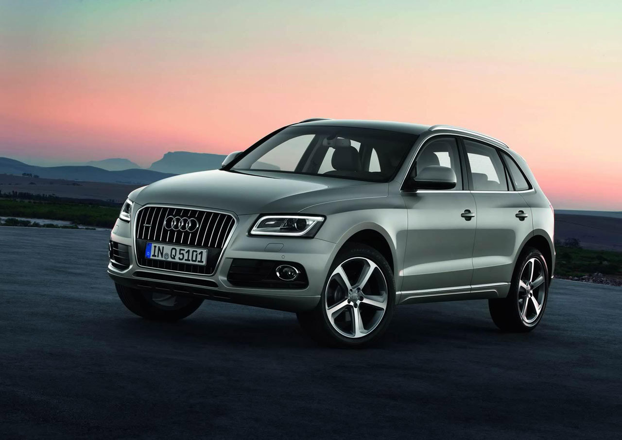 Audi Q5 photo #17