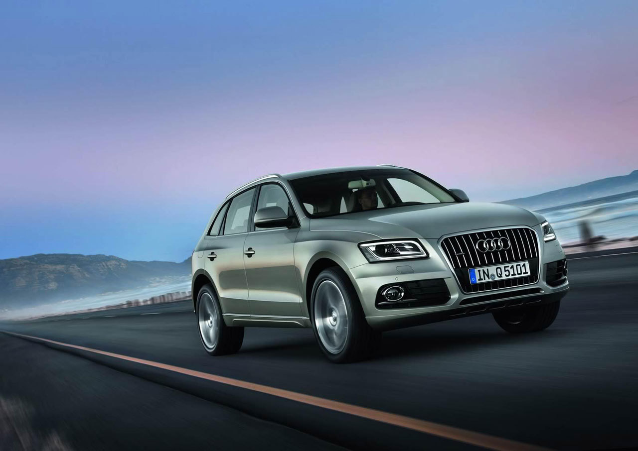 Audi Q5 photo #18