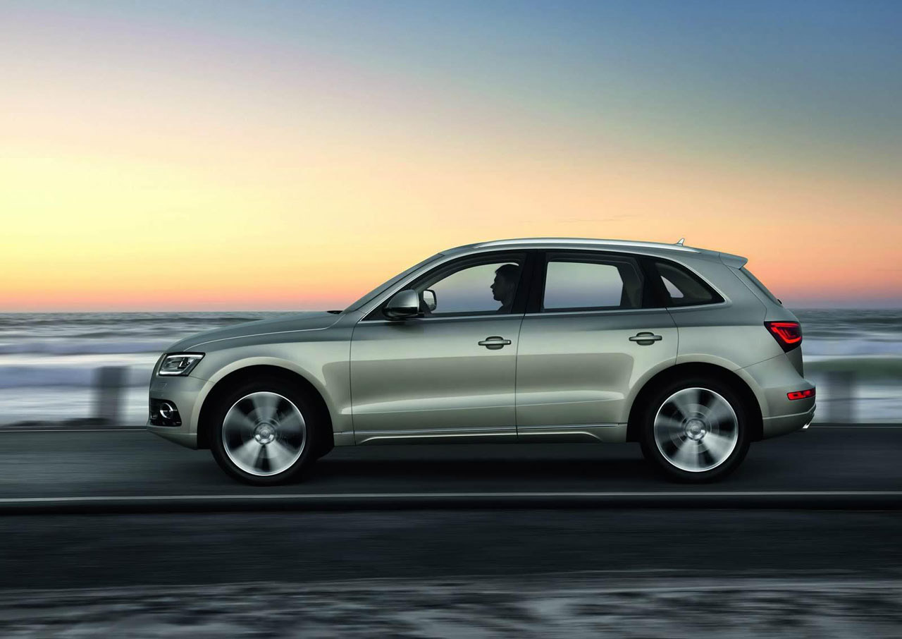 Audi Q5 photo #19