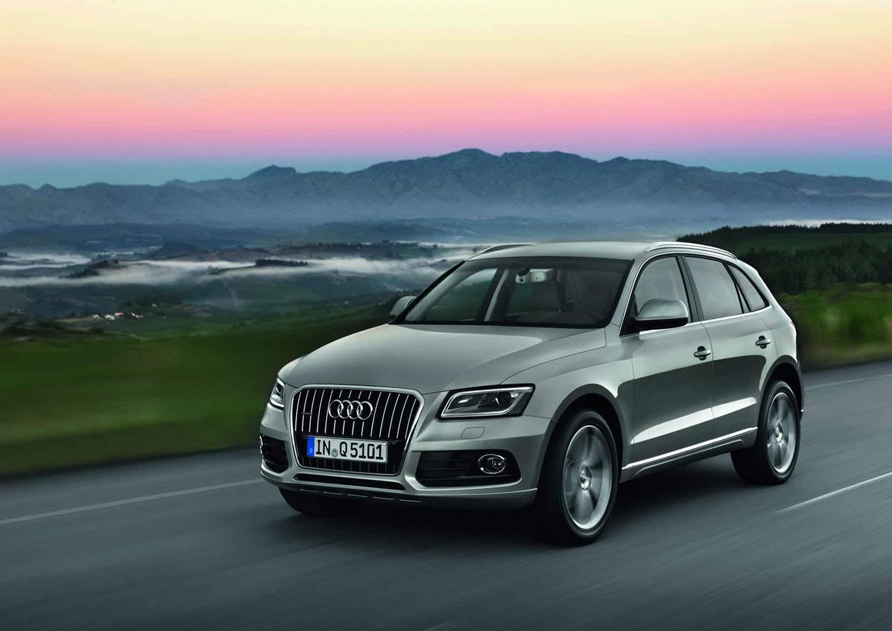 Audi Q5 photo #20