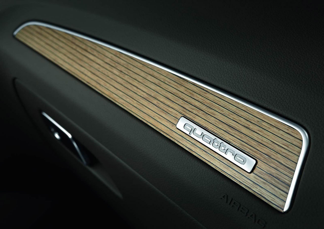 Audi Q5 photo #28
