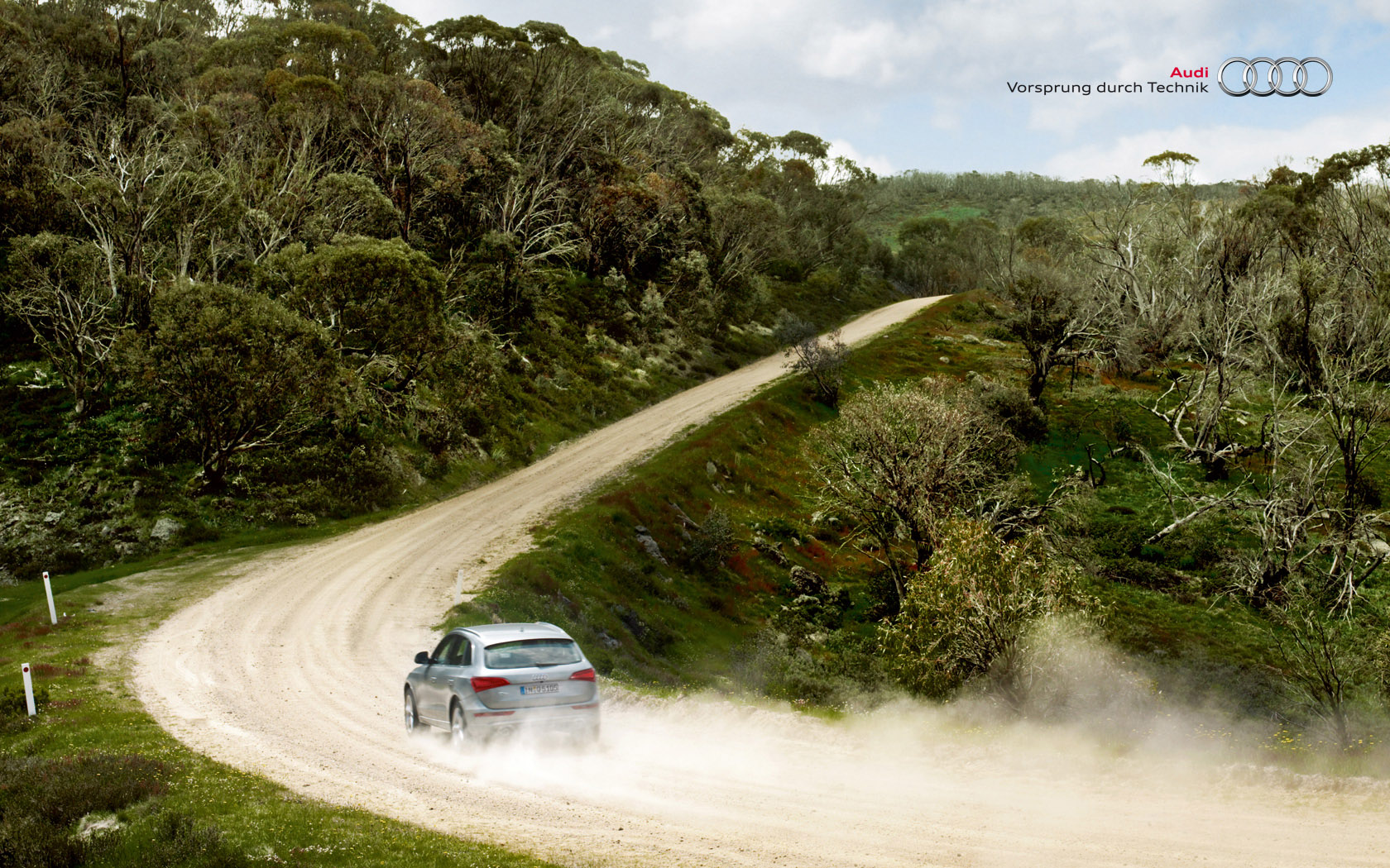 Audi Q5 photo #35