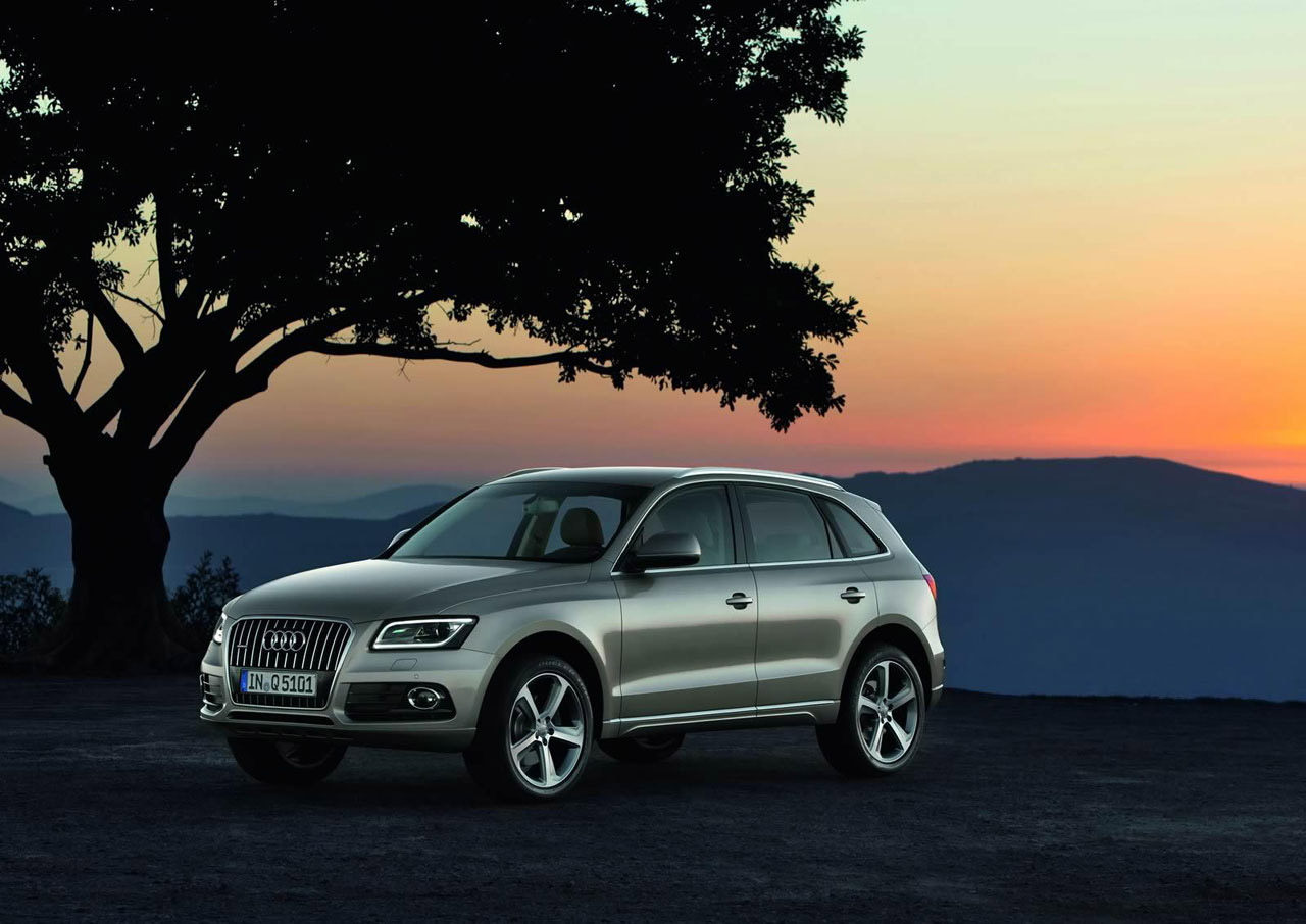 Audi Q5 photo #38