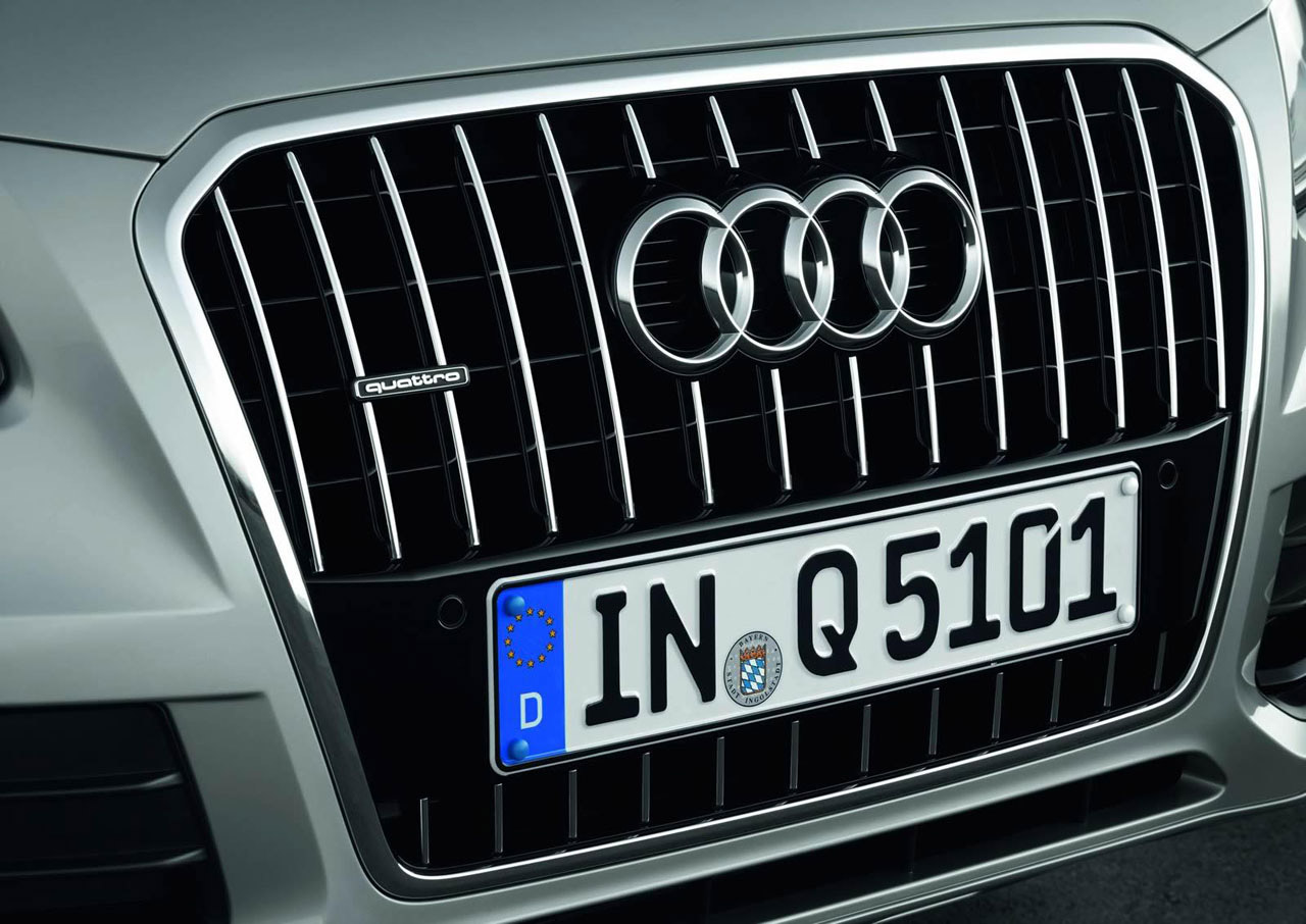Audi Q5 photo #44