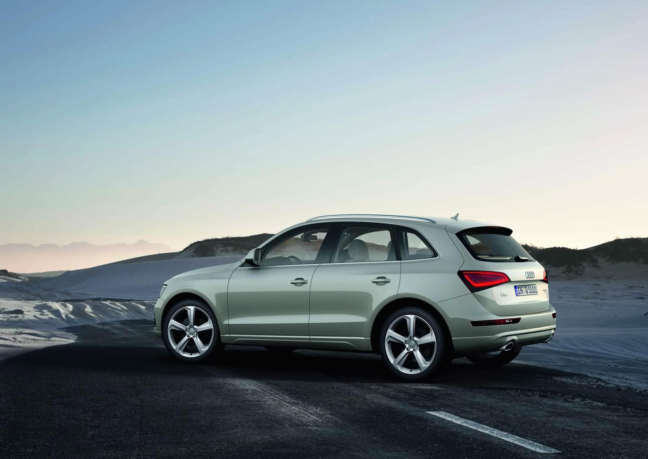 Audi Q5 photo #73