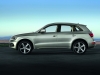 Audi Q5 2013