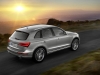 Audi Q5 2013