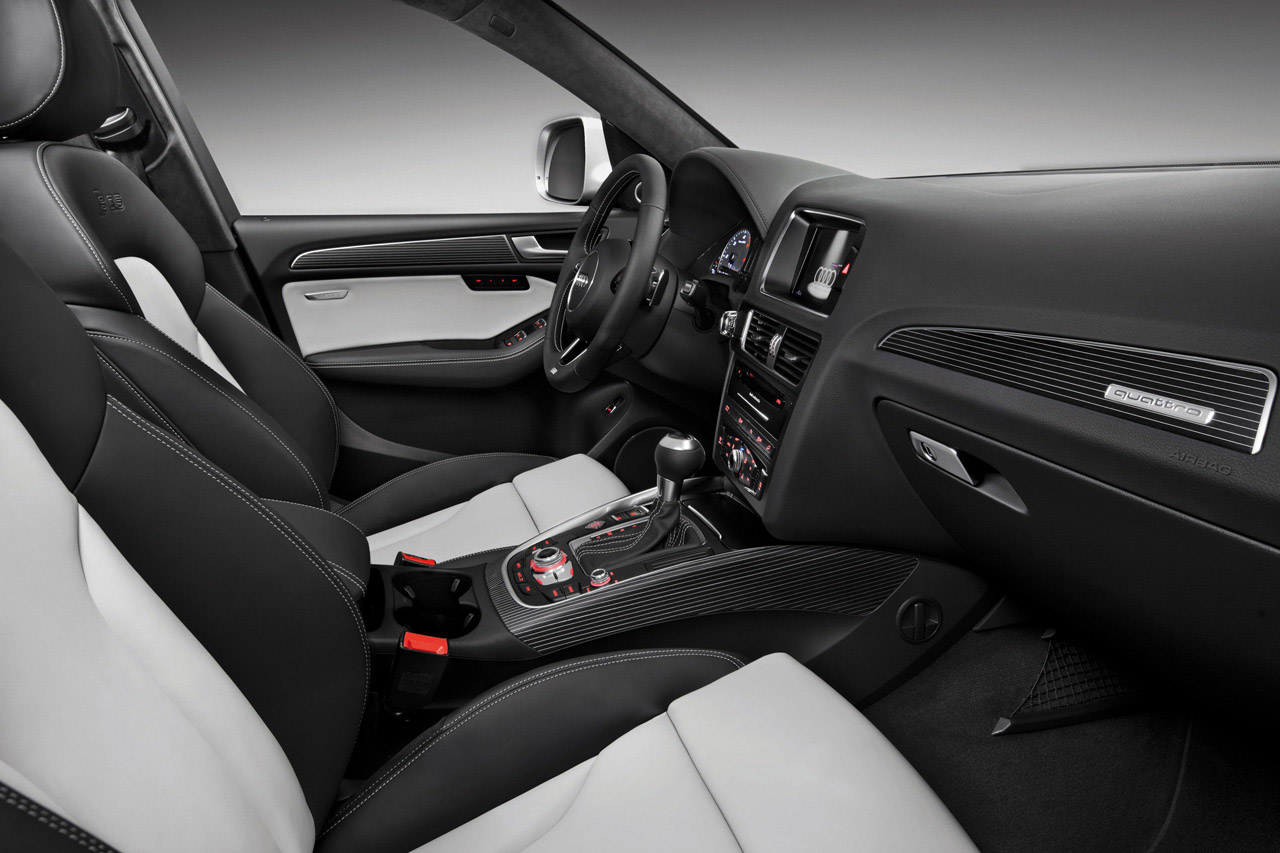 Audi SQ5 TDI photo #18