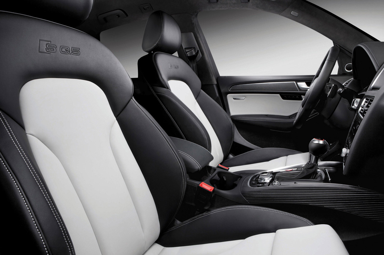 Audi SQ5 TDI photo #19