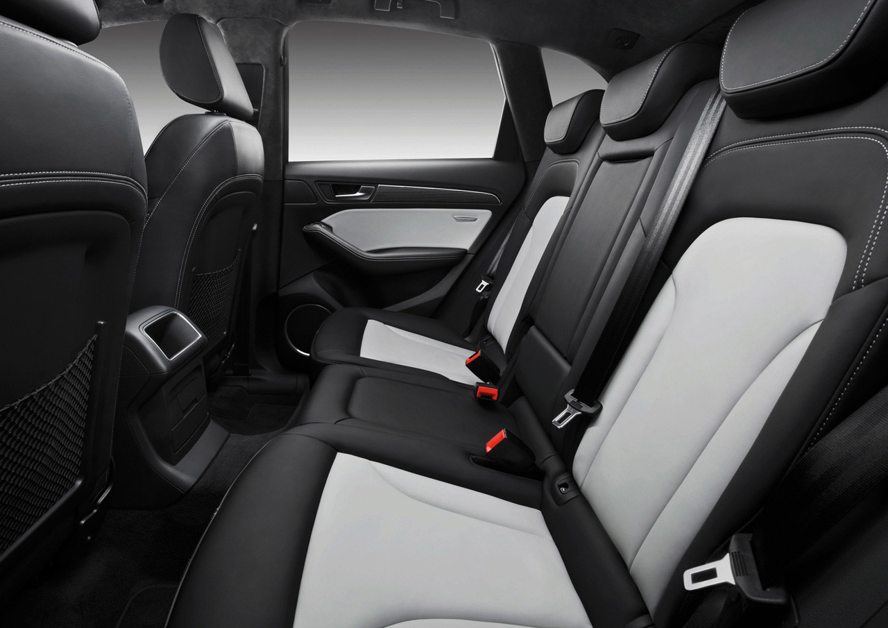 Audi SQ5 TDI photo #24