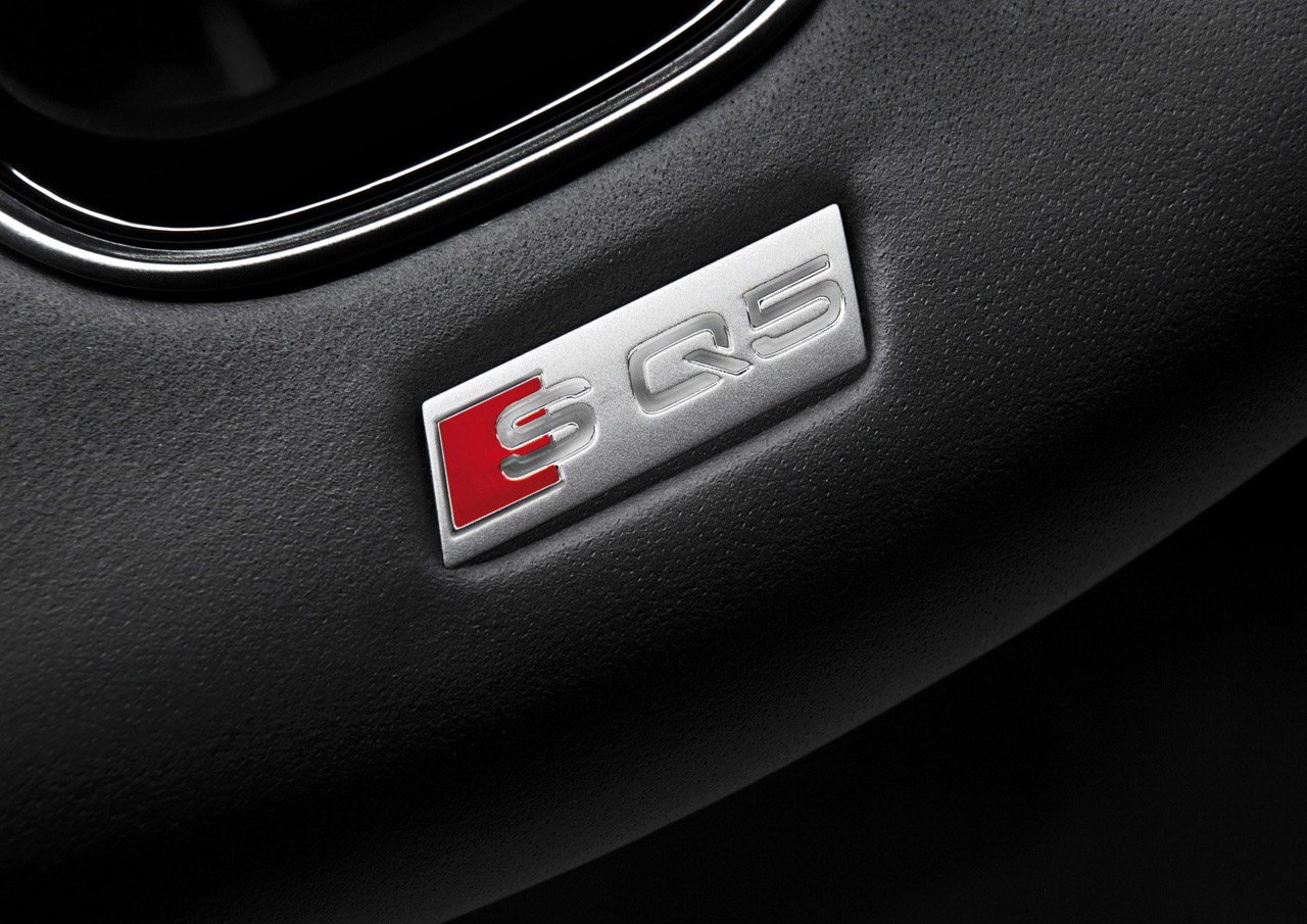 Audi SQ5 TDI photo #25