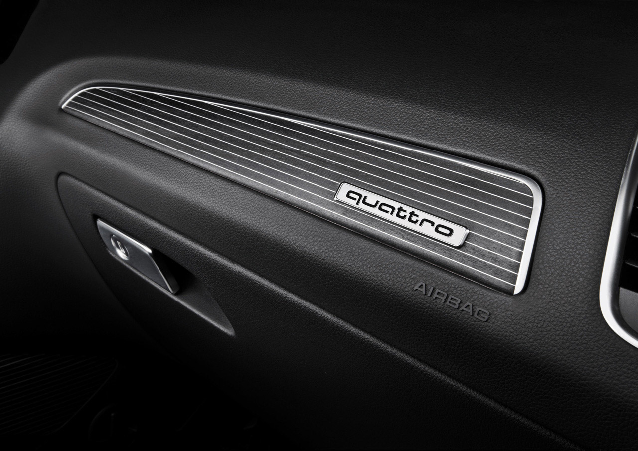Audi SQ5 TDI photo #27