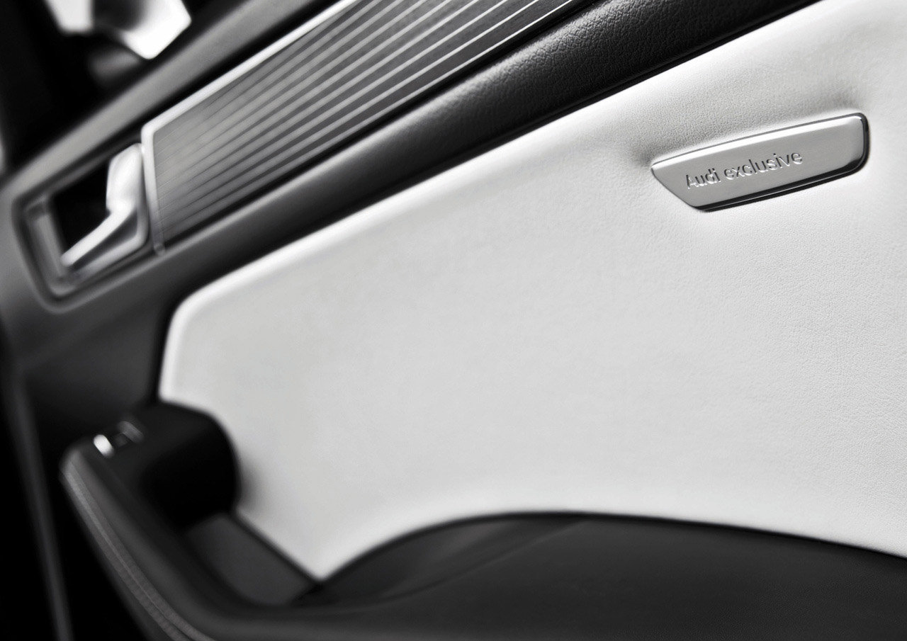 Audi SQ5 TDI photo #28