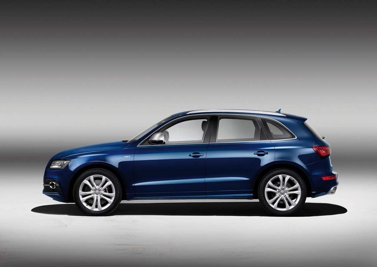 Audi SQ5 TDI photo #29