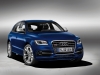 2013 Audi SQ5 TDI thumbnail photo 6775