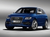 2013 Audi SQ5 TDI thumbnail photo 6782