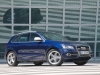 Audi SQ5 TDI 2013