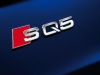 Audi SQ5 TDI 2013