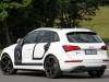 2013 B&B Audi SQ5 TDI thumbnail photo 10700