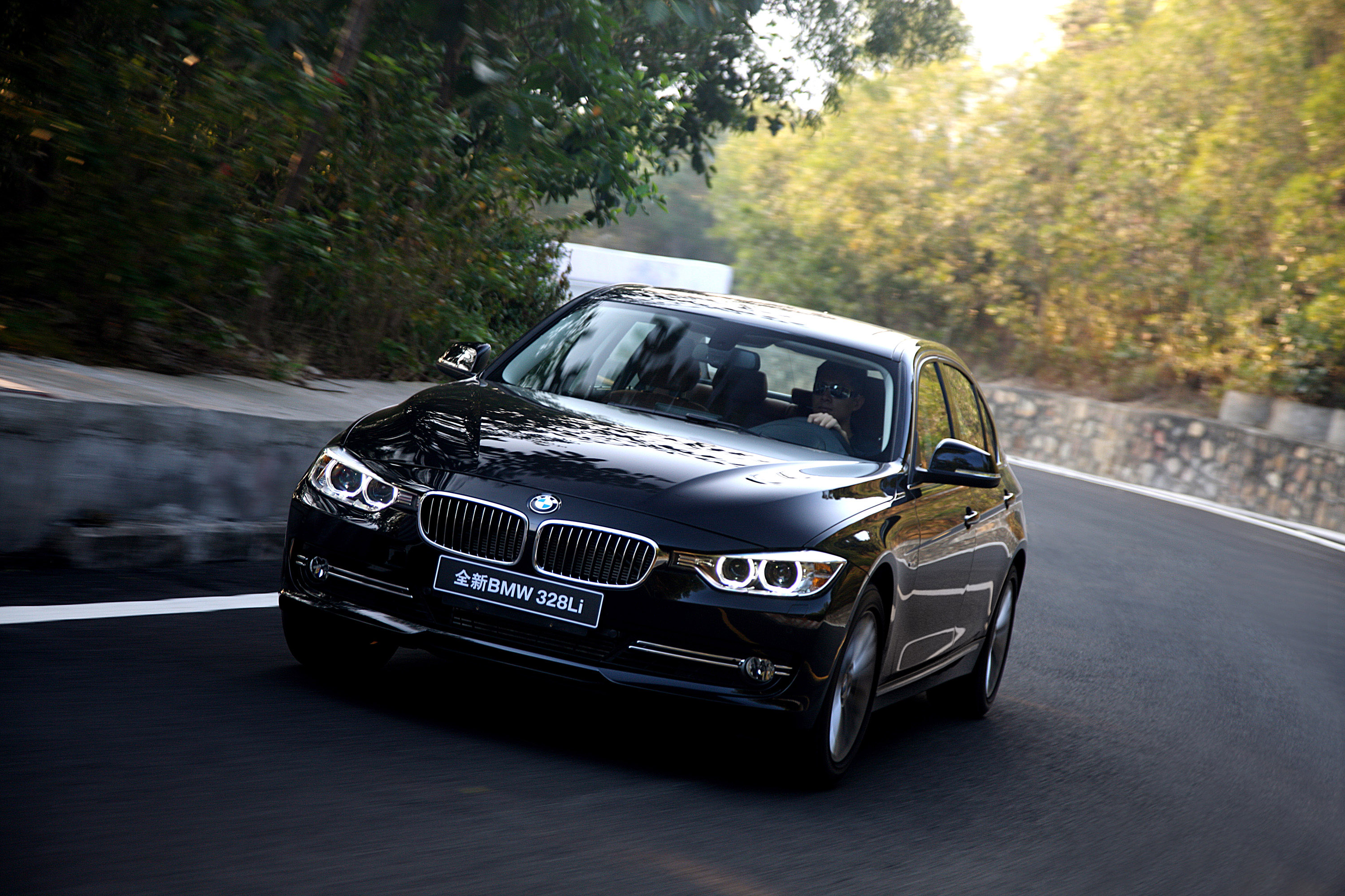 BMW 3 Series Li photo #17