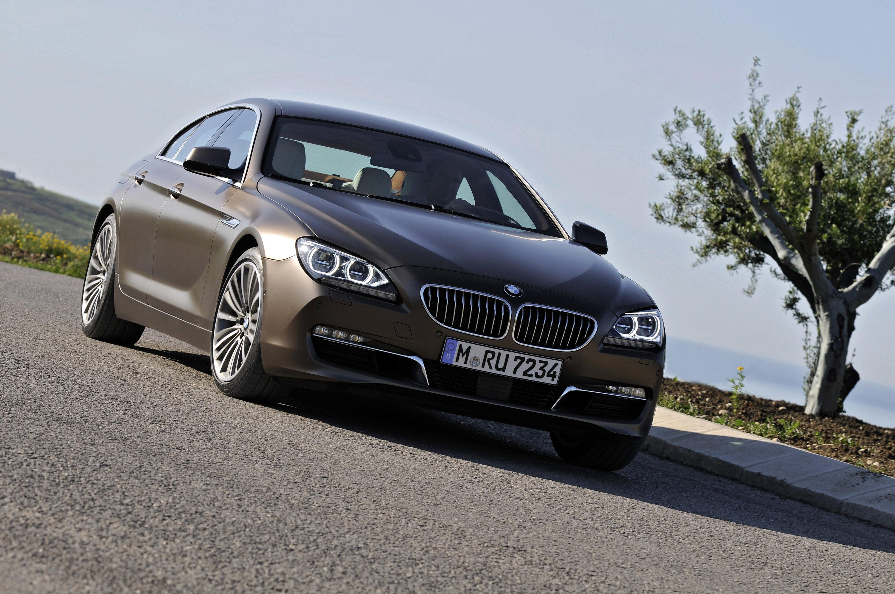 BMW 6-Series Gran Coupe photo #1