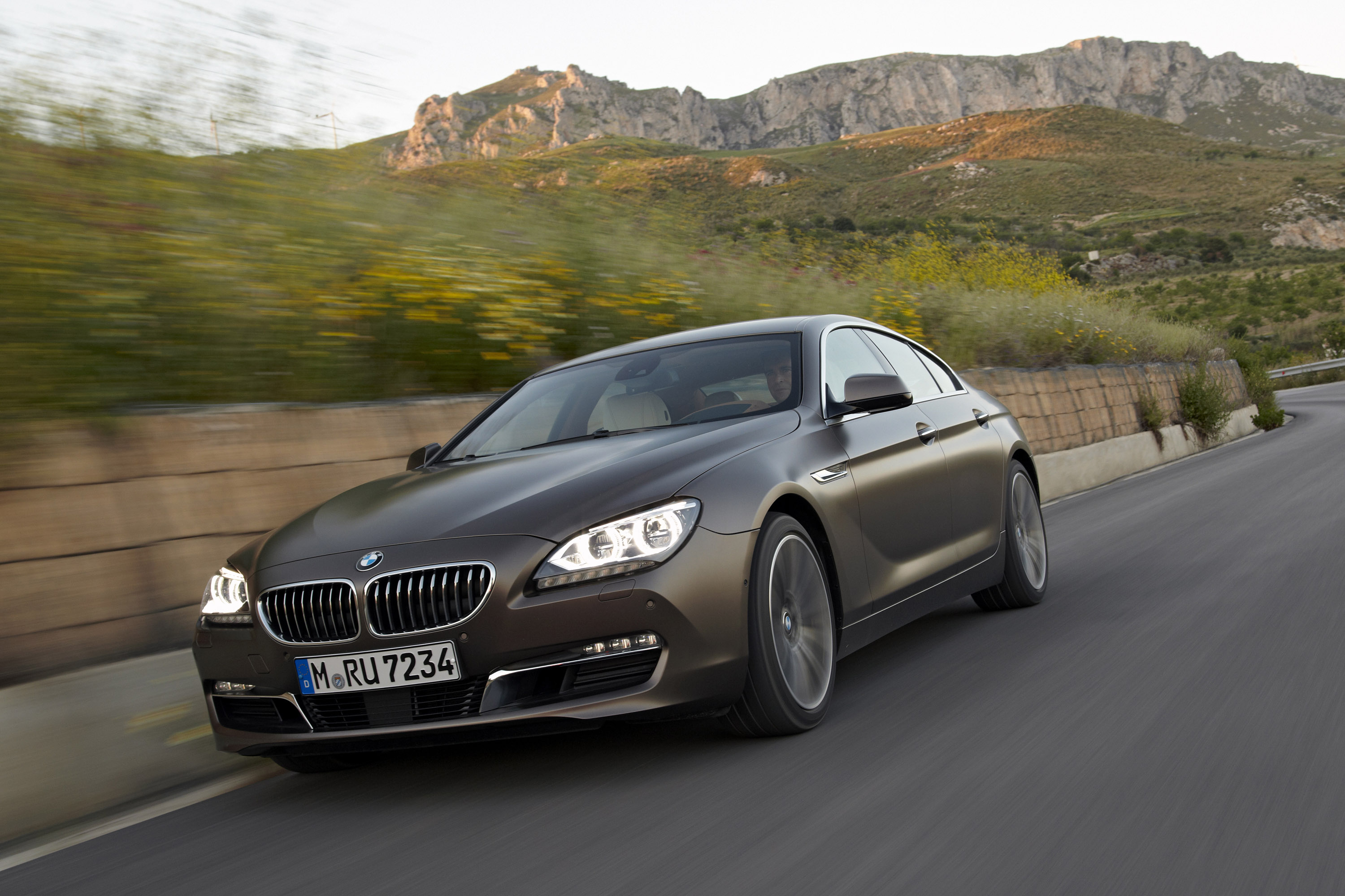 BMW 6-Series Gran Coupe photo #33