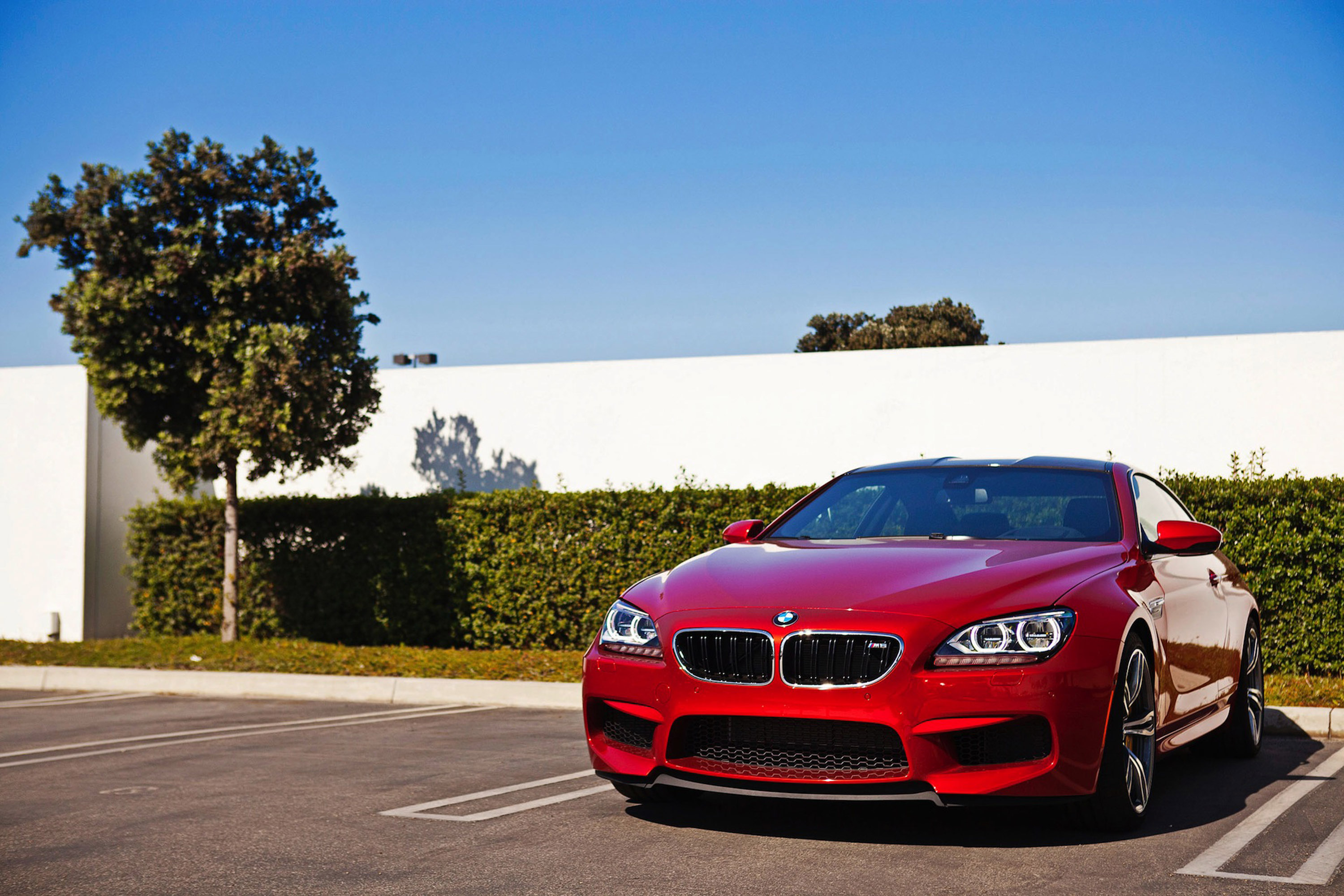 BMW M6 Coupe photo #20