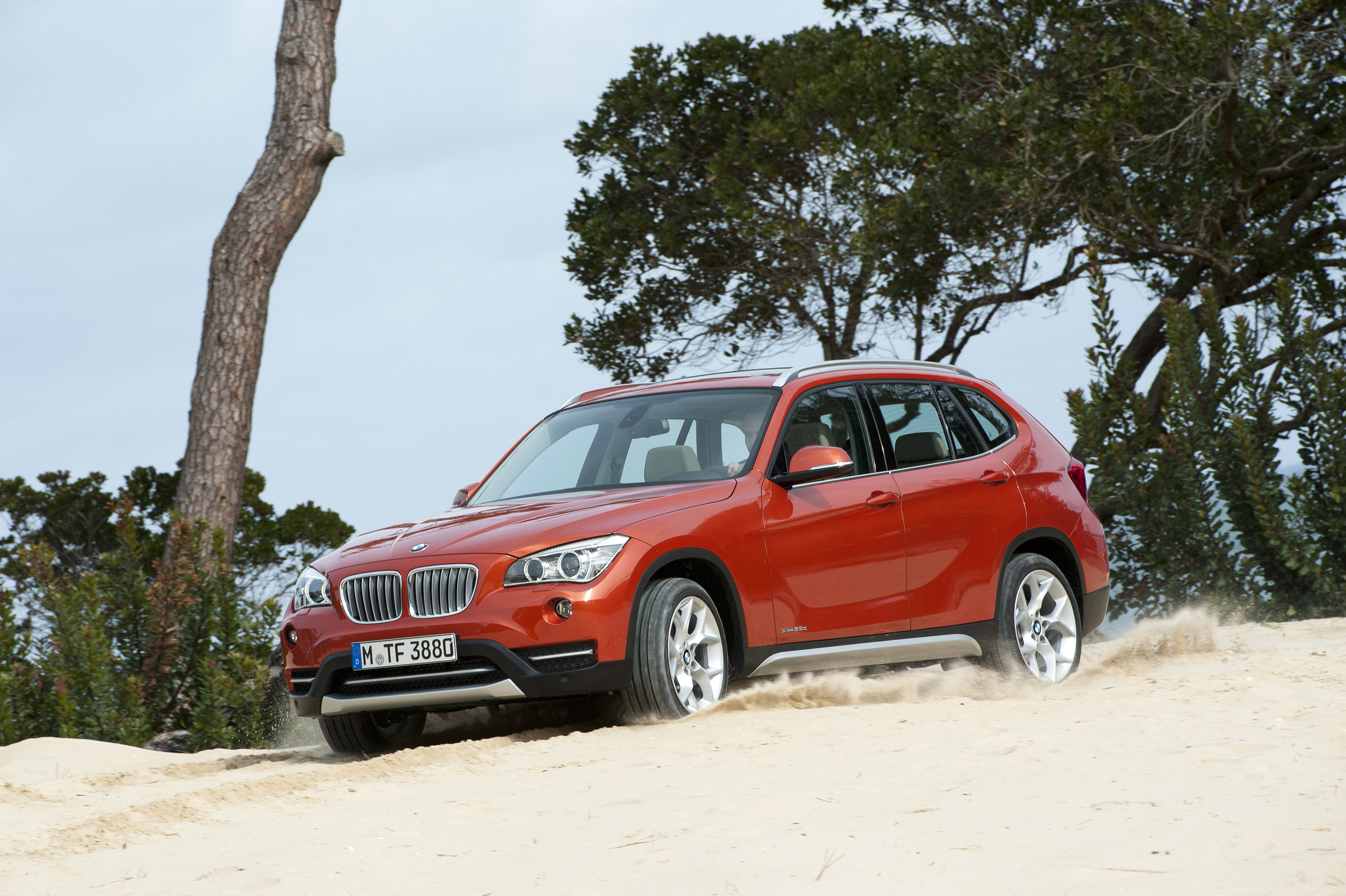 BMW X1 photo #15