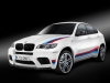 2013 BMW X6 M Design Edition thumbnail photo 32490