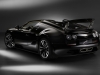 2013 Bugatti Veyron Jean thumbnail photo 15110