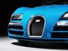 2013 Bugatti Veyron Meo Costantini thumbnail photo 28040