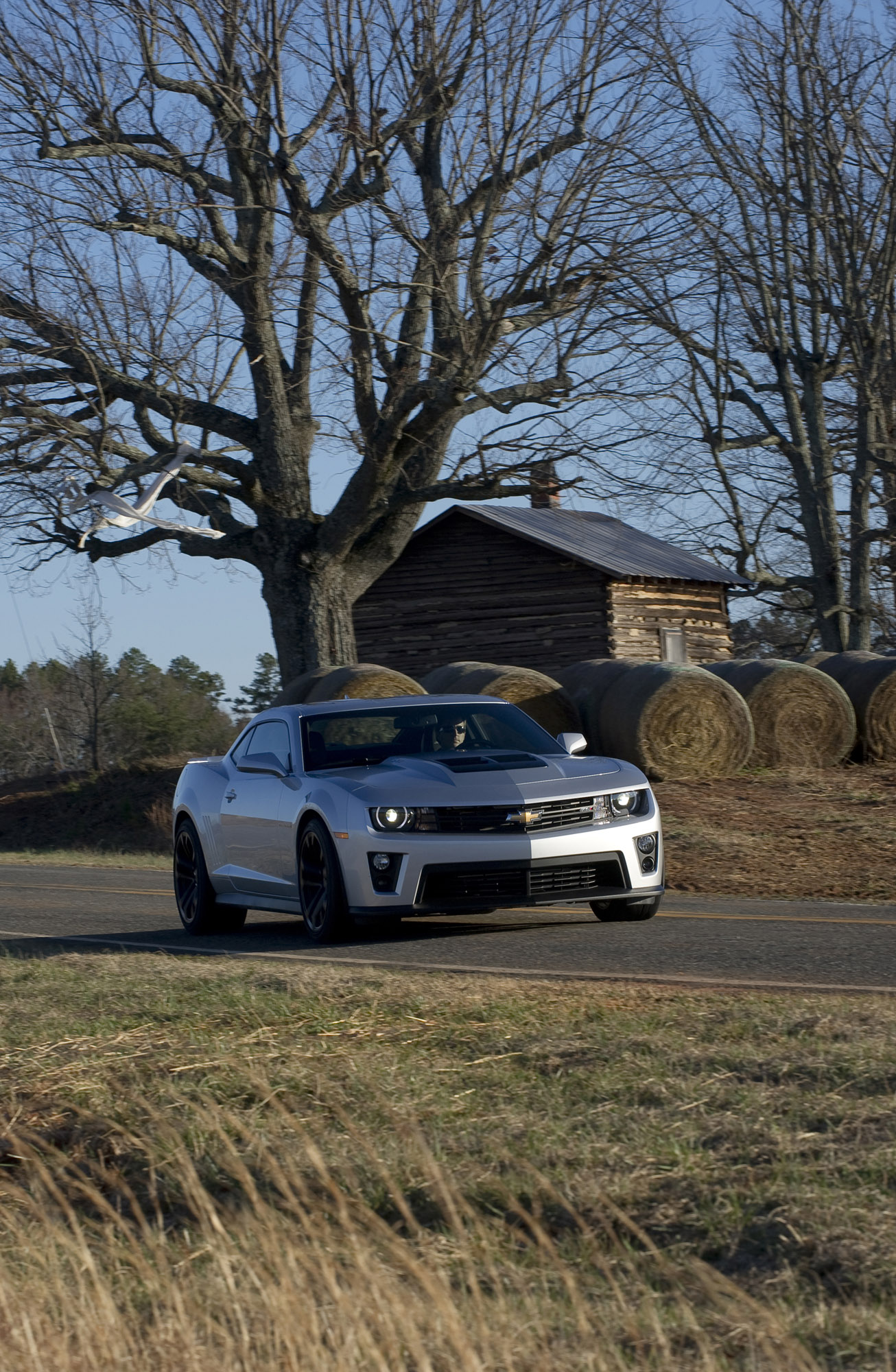 Chevrolet Camaro ZL1 photo #11