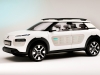 2013 Citroen Cactus Concept