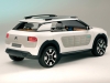 2013 Citroen Cactus Concept thumbnail photo 14807