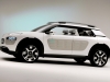 2013 Citroen Cactus Concept thumbnail photo 14809